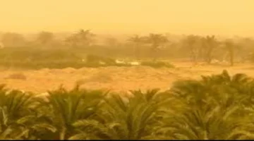 منخفض جوي يضرب محافظات مصر مع رياح محملة بالأتربة تؤثر على الرؤية